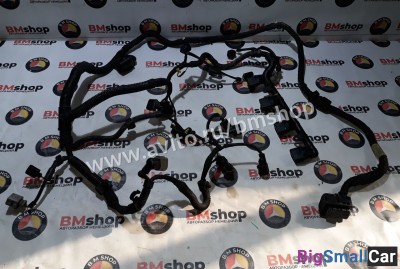 Проводка двигателя AXW, BLR, BLX, BLY, BVX, BVZ - купить Александровке