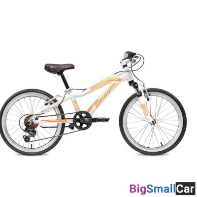 Дорожный велосипед STINGER 20AHV.FIONA.10WH8 - купить Александровке