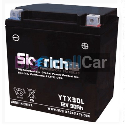 АКБ SKYRICH YTX30L-BS 21155