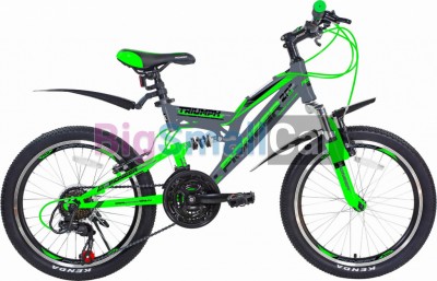 Дорожные велосипеды PIONEER TRIUMPH 20/13 gray-green-black - купить Александровке