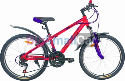 Горные велосипеды PIONEER CAPTAIN 24/12 red-darkblue-black - купить Александровке