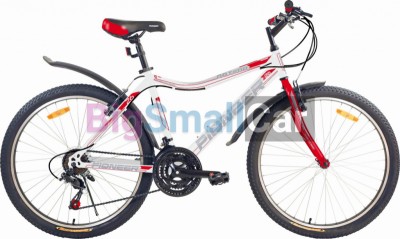 Дорожные велосипеды PIONEER OPTIMA 26/14 mint-blue-pink - купить Александровке